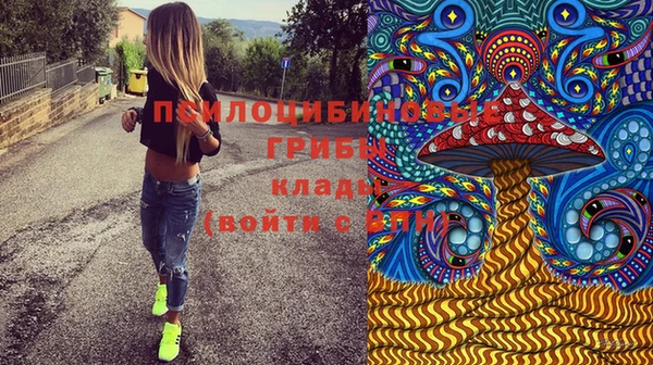 эйфоретик Аркадак