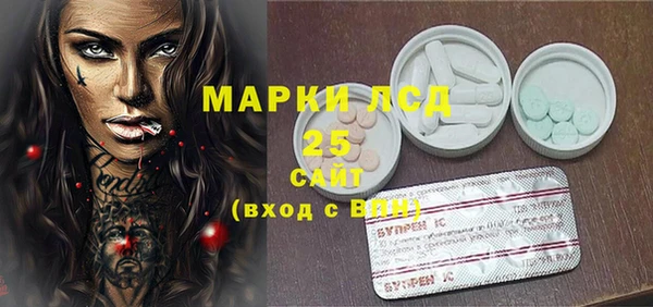 эйфоретик Аркадак