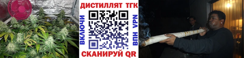 где найти   Семикаракорск  Дистиллят ТГК концентрат 