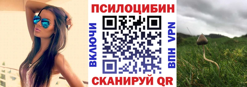 Псилоцибиновые грибы MAGIC MUSHROOMS  гидра ТОР  Семикаракорск 