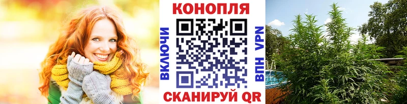 Бошки Шишки сатива  Семикаракорск 